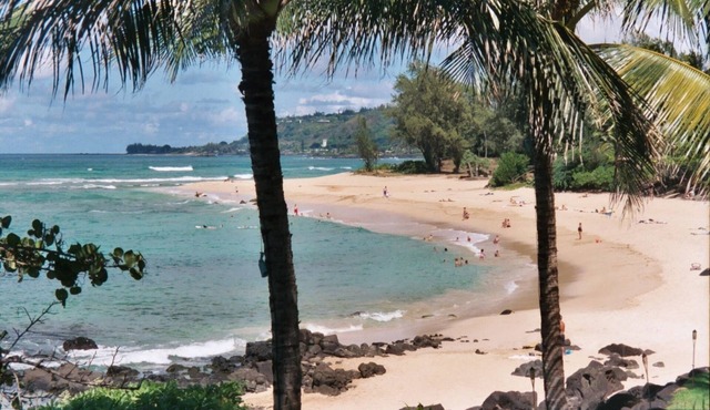 Oceanfront Beach House - Tropical Paradise!