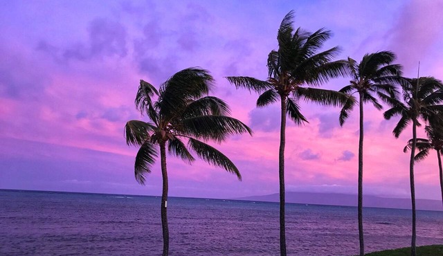 Oceanfront, Breathtaking View! Summer Getaway Special! Wavecrest Resort!