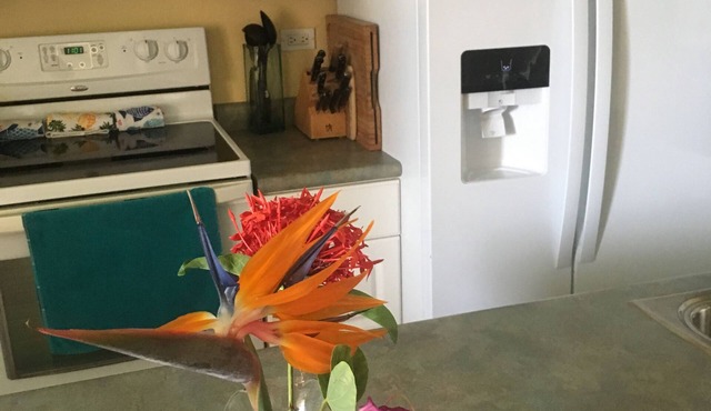 Oceanfront, Pool, Gym, Tennis, Hot Tub, Close to beach, Walk to shops!