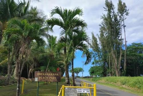 Oceanfront Views Balcony + Top Hilo Location