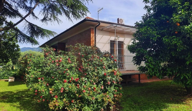 Olive Grove Garden House With Mountain View Close to Forte dei Marmi in Ripa- Pozzi-Ponterosso