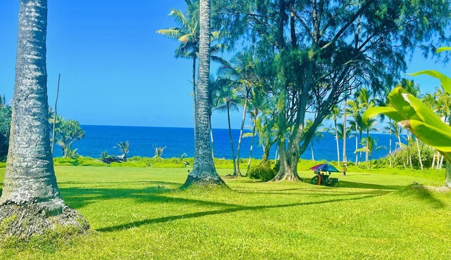 Pāhoa Kai Hale’u’uku