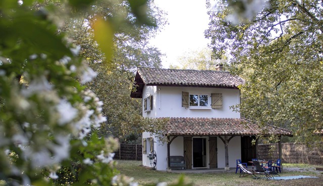 P'tit Gîte La Preillouse in the heart of the Landes de Gascogne Regional Park. in Sabres