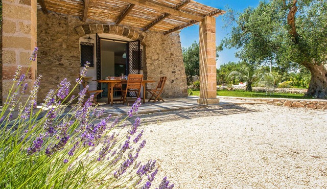 Pajara Gianfredi by BarbarHouse in Casarano