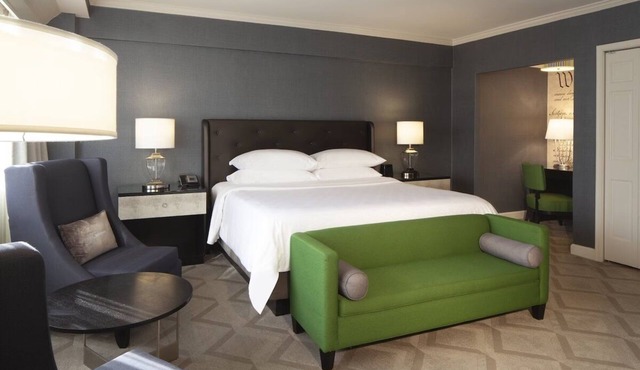 Pet-Friendly Accommodations at The Melrose Georgetown Hotel in Washington