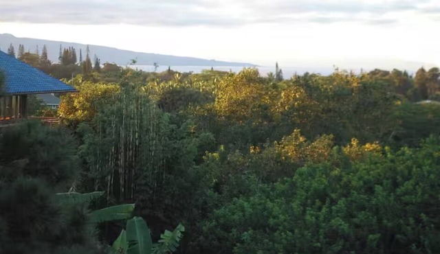 Pole House by Maui Aventure Villa