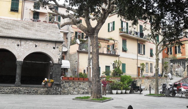 Prestigious studio apartment 150 mt. from the sea. Levanto (SP) CIN: IT011017C28T6VGYGQ in Levanto (SP)