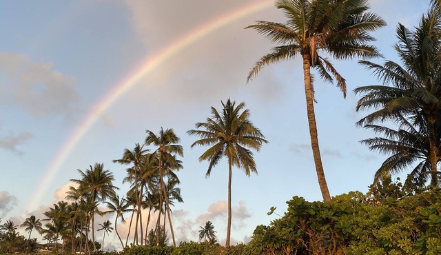 Pristine Haleiwa North Shore Beachside Retreat-30 night minimum!
