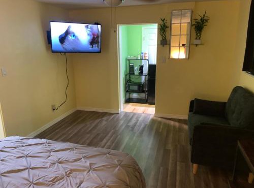 Private suite with small kitchen private bathroom entrance porch and driveway in Pinellas Park