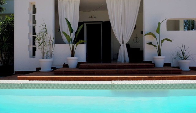 PUGLIAMANDIA: a "relaxing" vacation among ancient olive trees and crystal clear sea! in Puglia