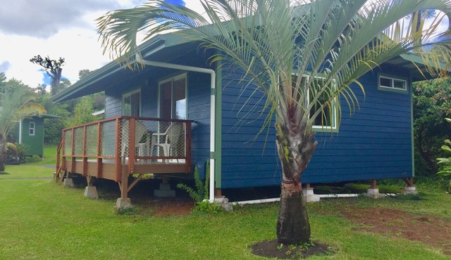Puna Rainforest Retreat Hotspring - Blue Ginger Cottage