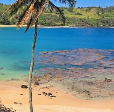 Relax Unwind Private Beachfront Escape with Stunning Views, Amazing Location