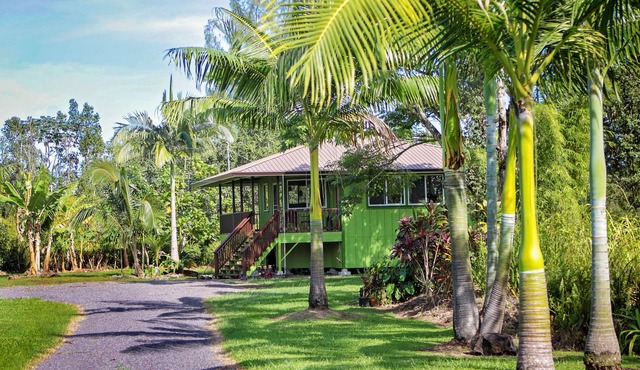 Secluded garden bungalow in the jungle with air conditioning.