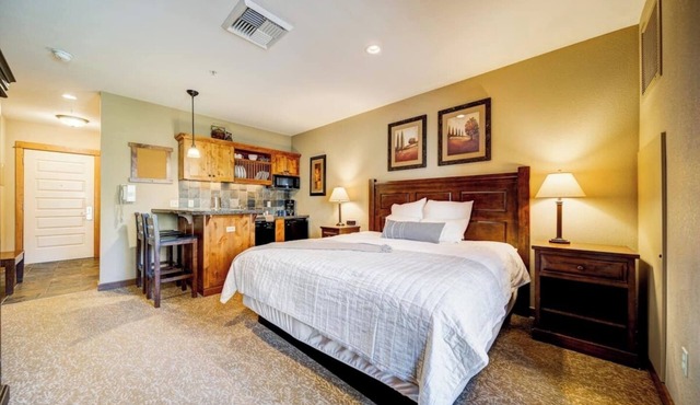 Silver Mtn Studio Condo Ski - Mtn Bike- Hiking in Kellogg