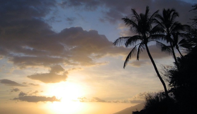 South Maui, Condo in Kihei, Great Location - Top Floor, Quiet And Private!