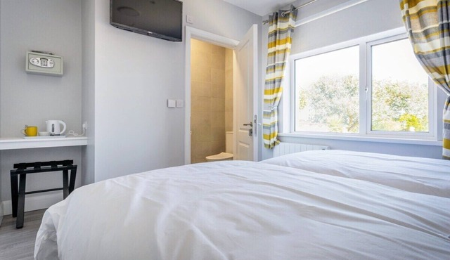 The Metal Man Room (@BurrowLodge) in Waterford