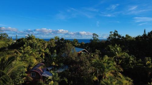 Tiny House & Sauna-Walk to Kehena Beach - Close to Lava Hot Springs