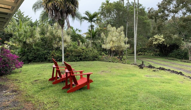 Tropical "Jungalow" Near the Sea