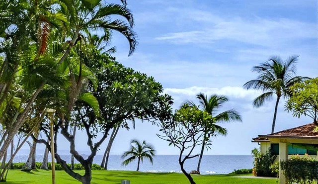 Tropical Oasis, Oceanview, new remodel, 3 bed, 3 bath, w AC, pool.
