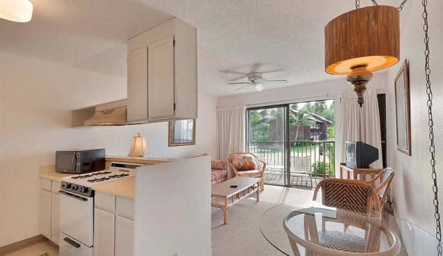 Tropical Ocean View w/Lanai, WiFi, Cable TV-#212