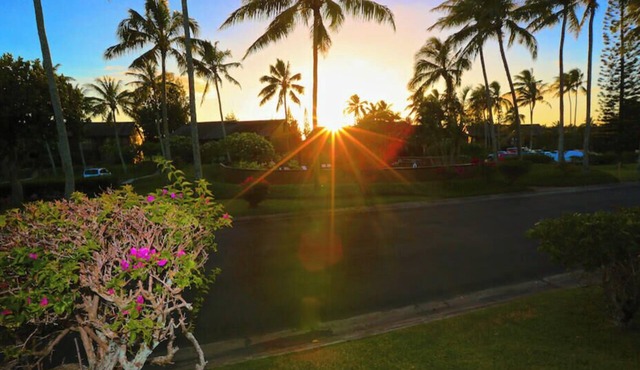 Turtle Bay - Relax In Paradise 570010290183/CCH-0111
