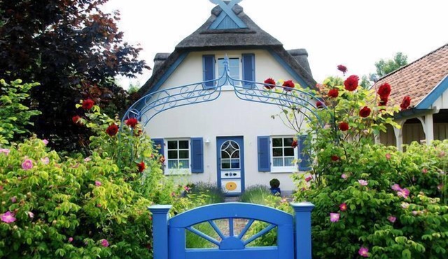 Vacation home "Möwennest" on Poel in Schwarzer Busch