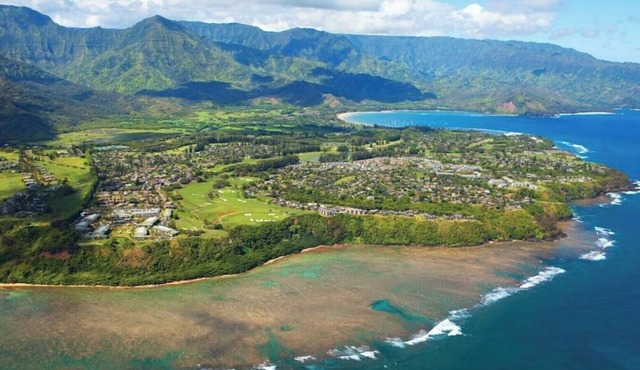 Villa In Paradise 2-bedroom with AC in peaceful Princeville