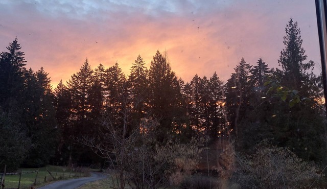 Yellow Point Country Acres Central Vancouver Island Adventures BnB in Ladysmith