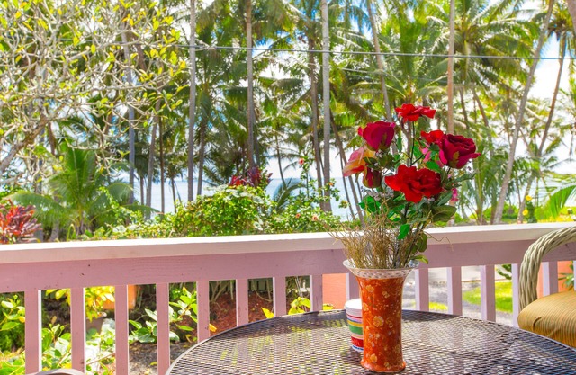 Dolphin Cottage Ac Kehena Beach Hawaii 