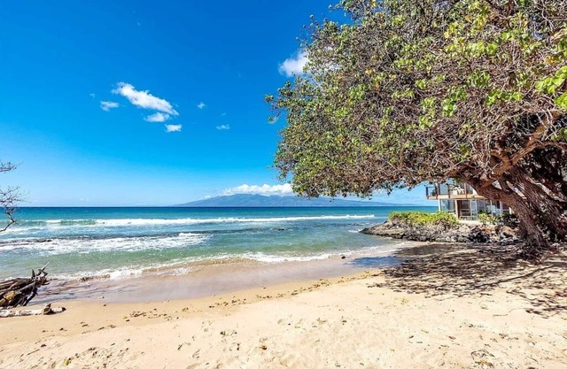 Honokowai Palms 