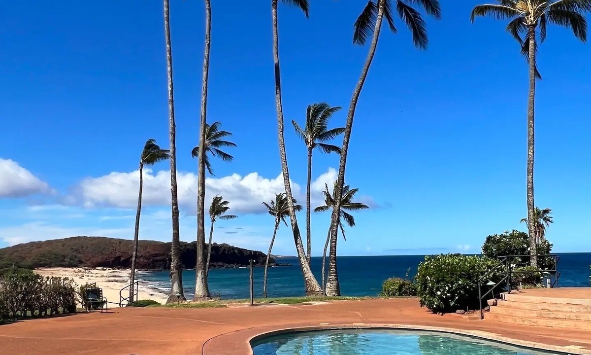 Maunaloa Apartment | Luxurious Ocean View- Ground Floor/WIFI/Lanai/King Bed/Kitchen