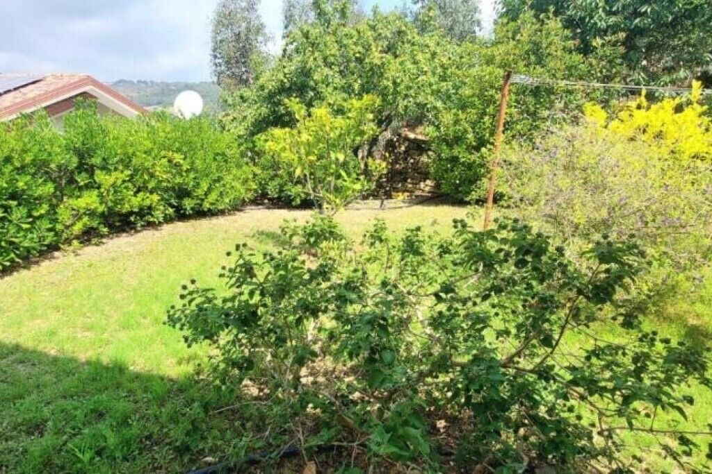 Vallebona Apartment | Farmhouse Antico Principato di Seborga - Two-room apartment