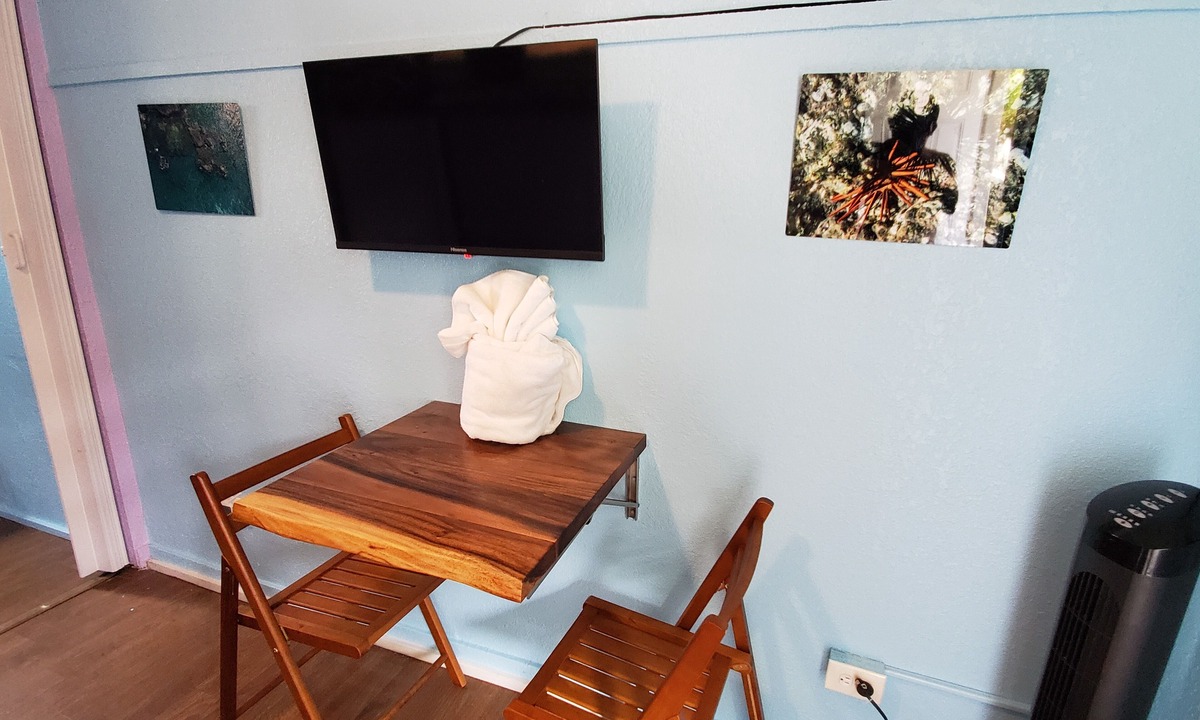 Wailuku Apartment | Budget Downtown Studio C w/European Twin Bunk Beds, AC, WIFI & free Streamers!