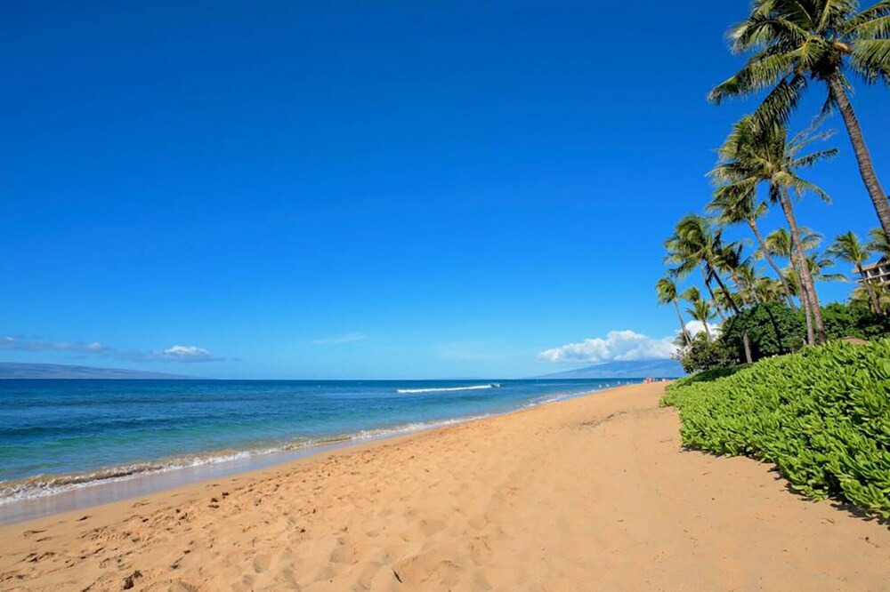 Photo of Others in Lahaina
