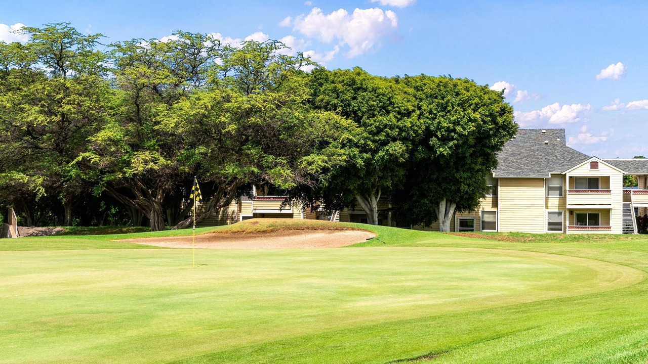 Photo of Others in Waikoloa Village