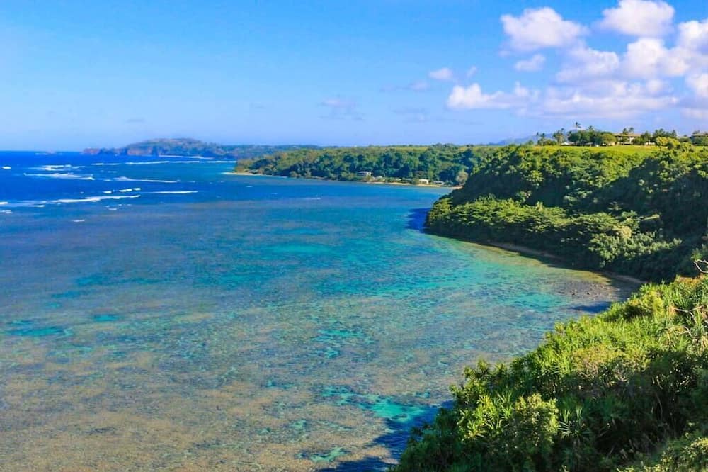 Photo of Others in Princeville