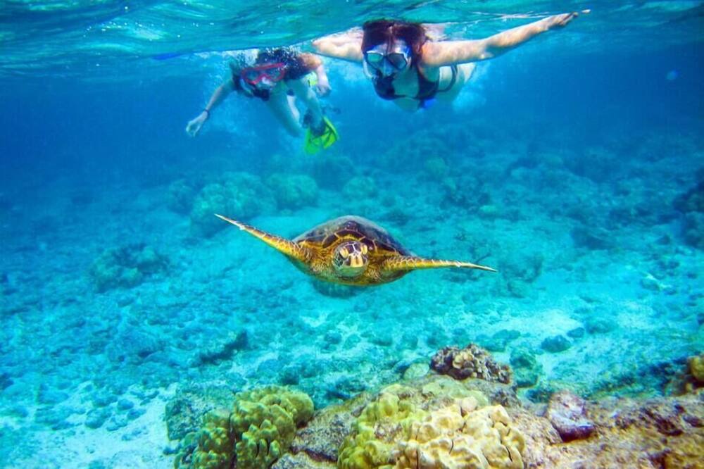 Photo of Others in Princeville