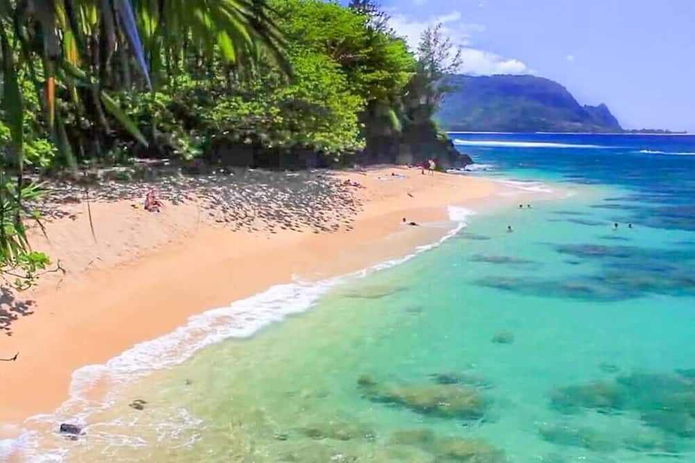 Photo of Others in Princeville