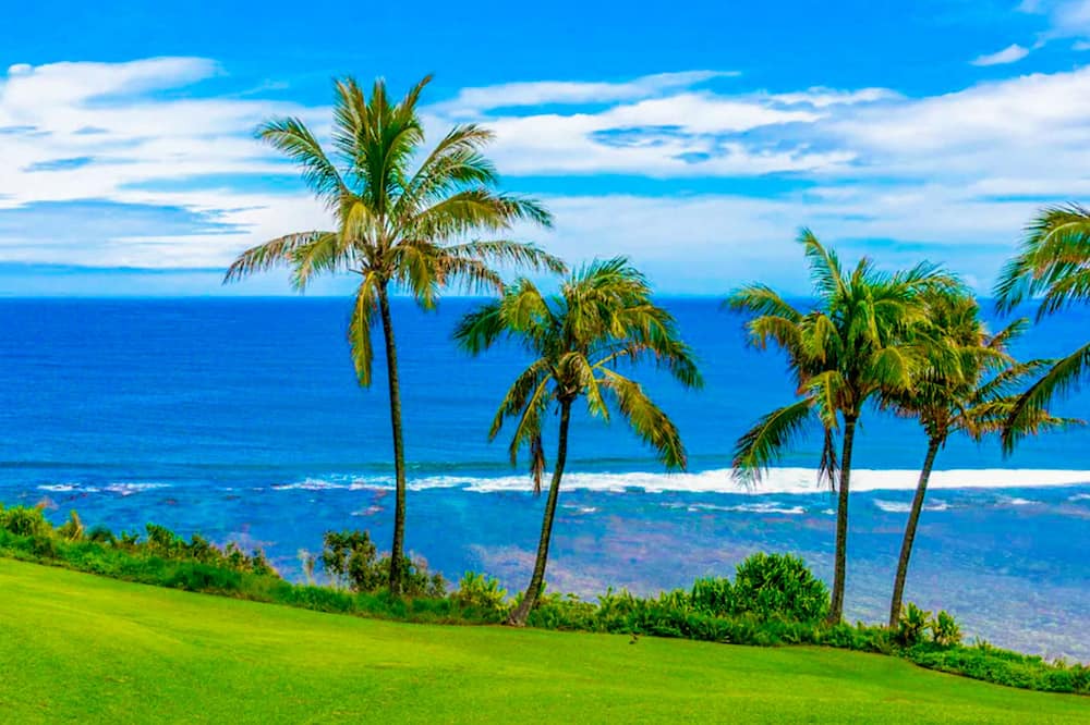 Photo of Others in Princeville