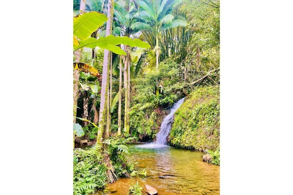 Photo of Others in Hakalau