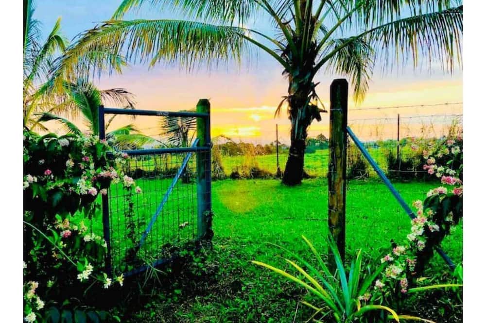 Photo of Outdoor in Hakalau