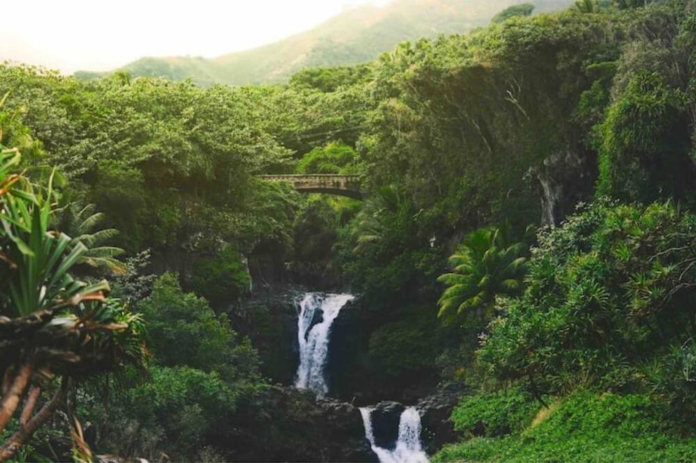 Photo of Others in Hakalau