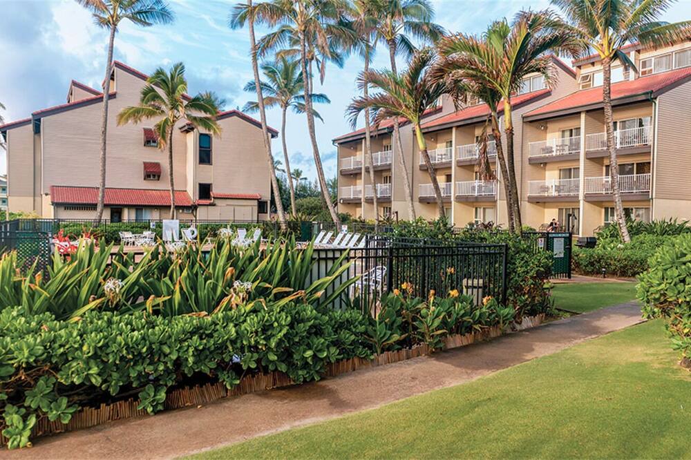 Photo of Outdoor in Kapaa