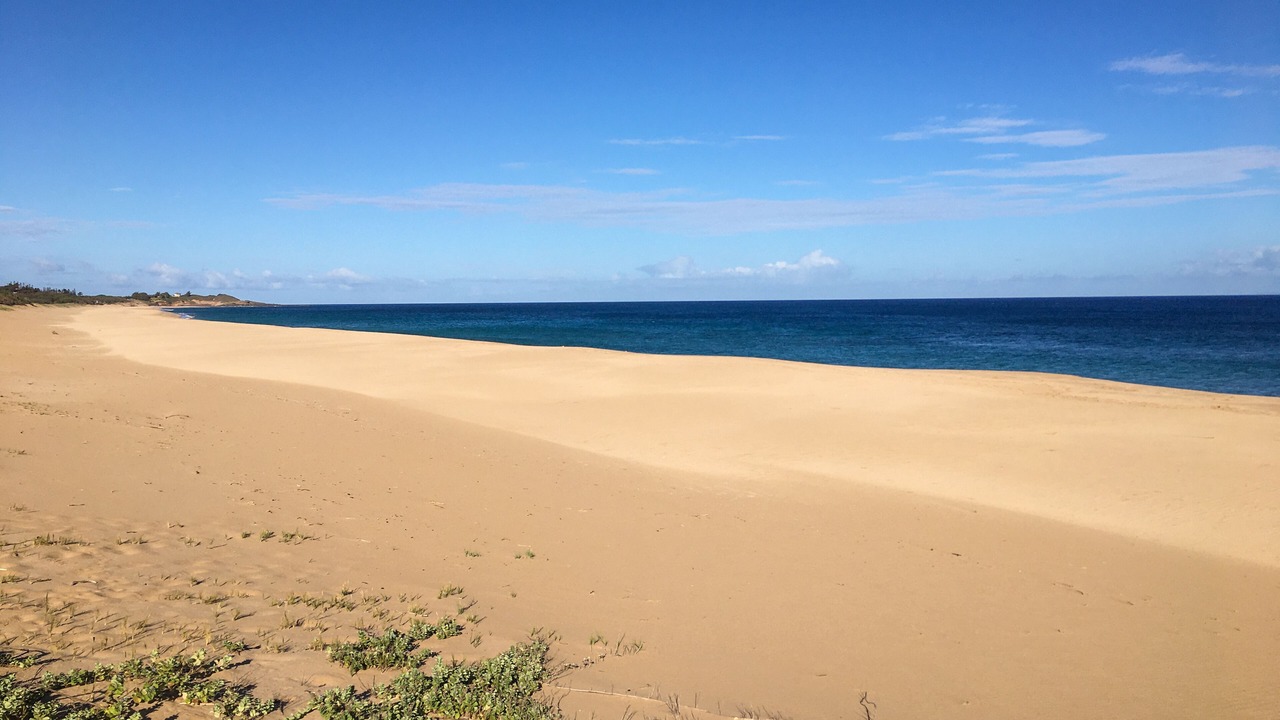 Photo of Others in Maunaloa