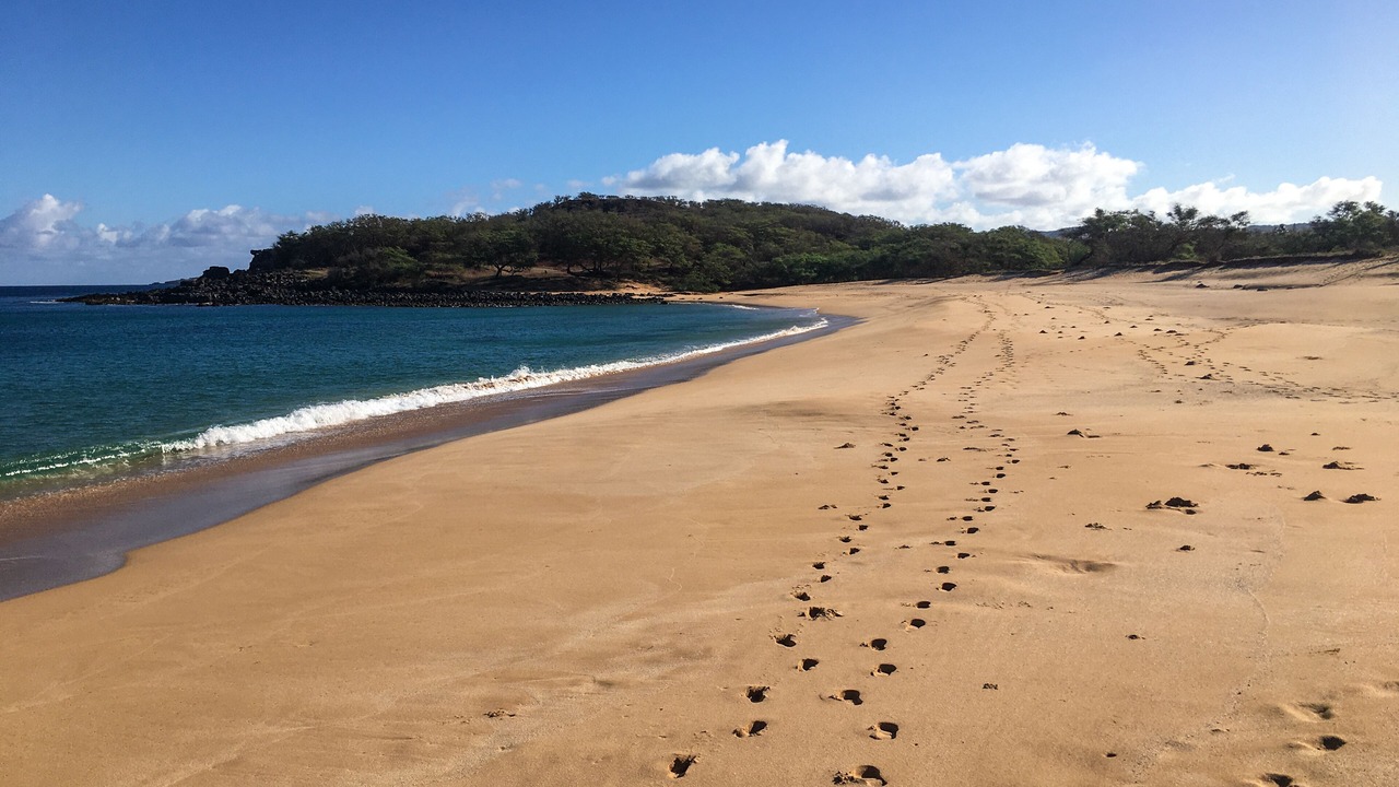 Photo of Others in Maunaloa