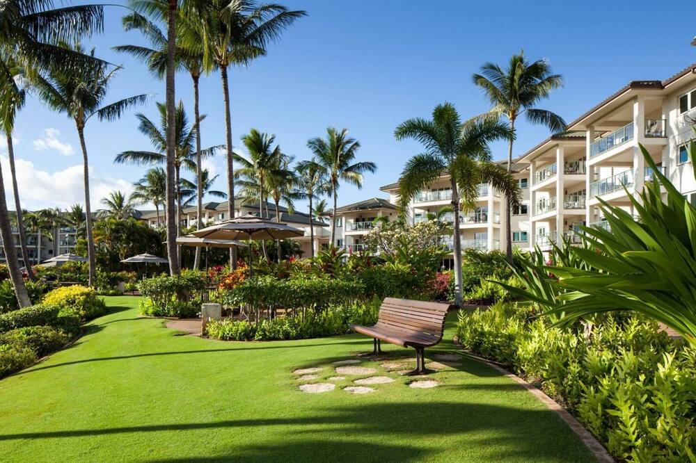 Photo of Outdoor in Lihue