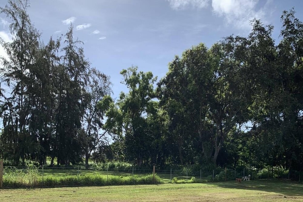 Photo of Others in Laie