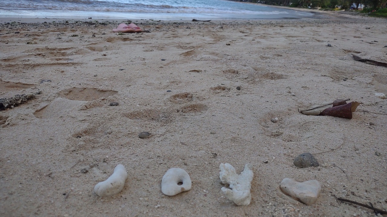 Photo of Others in Punaluu
