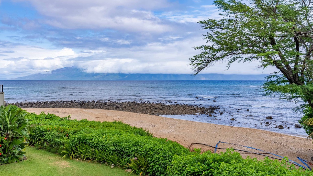 Photo of Others in Kahana