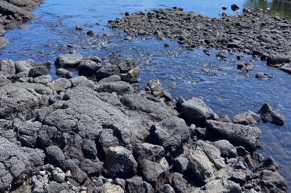 Photo of Others in Keaukaha